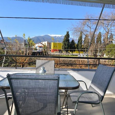 Zeusplace Georgia House Daire Leptokarya  Dış mekan fotoğraf