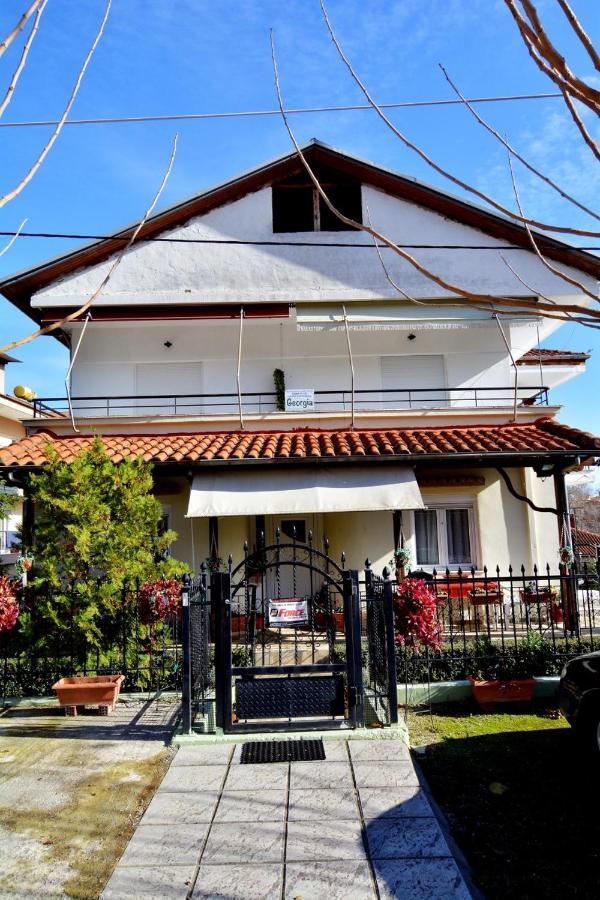Zeusplace Georgia House Daire Leptokarya  Dış mekan fotoğraf