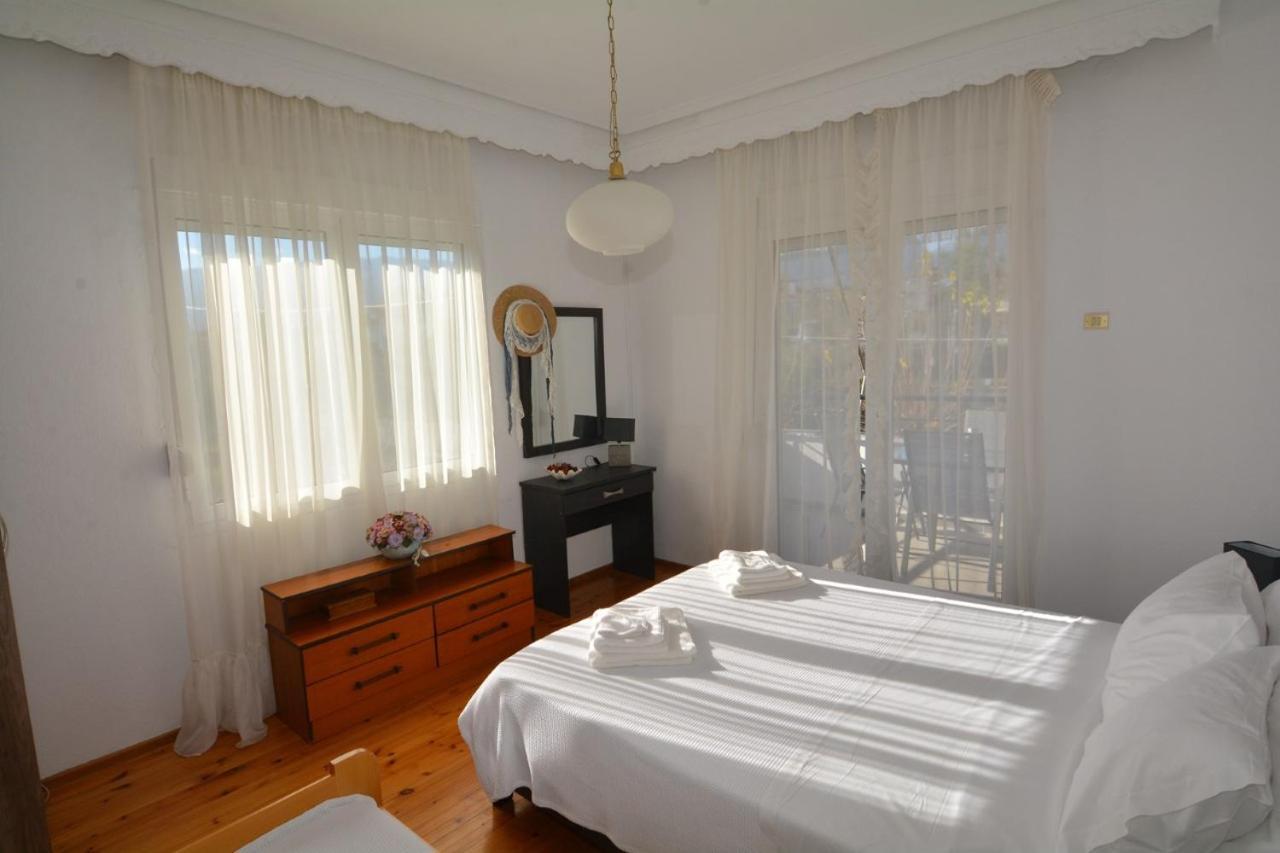 Zeusplace Georgia House Daire Leptokarya  Dış mekan fotoğraf
