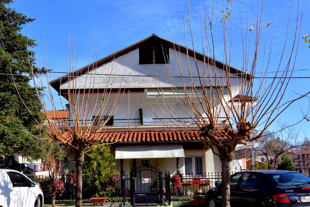 Zeusplace Georgia House Daire Leptokarya  Dış mekan fotoğraf