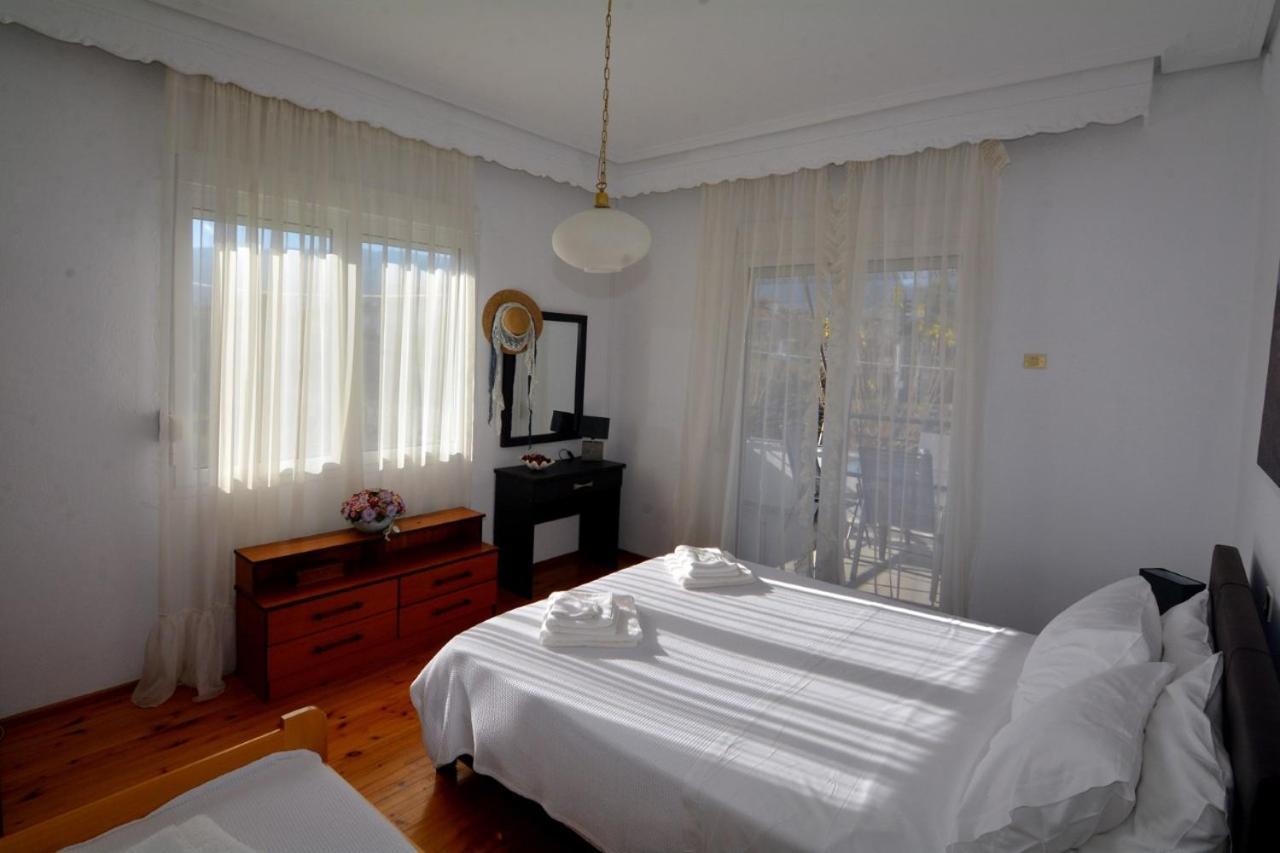 Zeusplace Georgia House Daire Leptokarya  Dış mekan fotoğraf