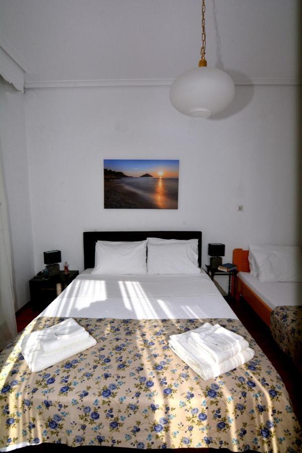 Zeusplace Georgia House Daire Leptokarya  Dış mekan fotoğraf